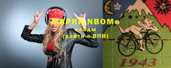 индика Медвежьегорск
