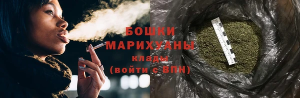 индика Медвежьегорск