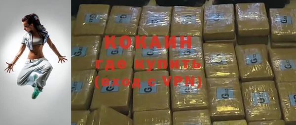 индика Медвежьегорск
