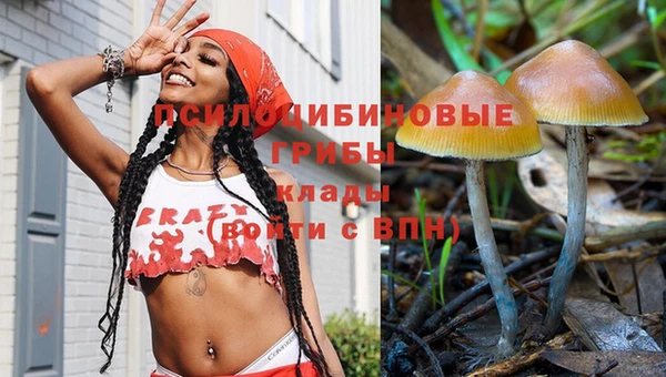 прущая мука Мегион