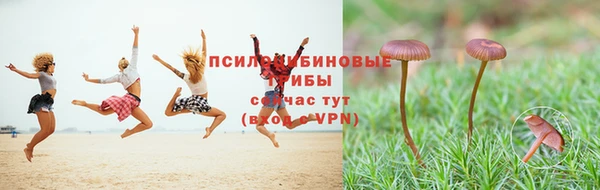 индика Медвежьегорск