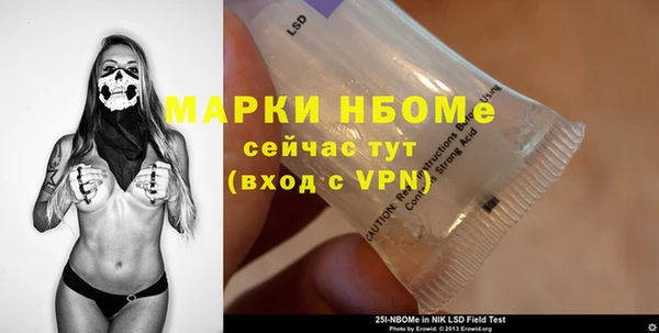индика Медвежьегорск