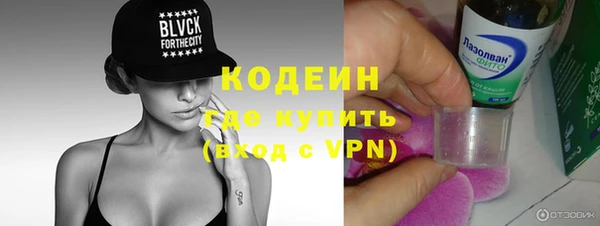 индика Медвежьегорск