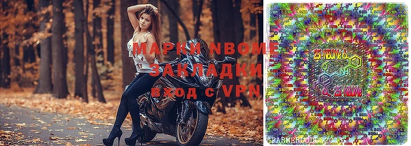 индика Медвежьегорск