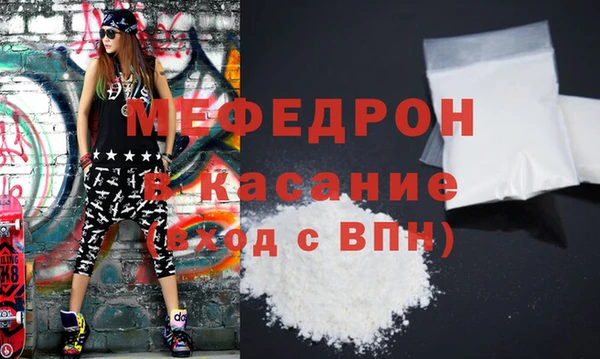индика Медвежьегорск