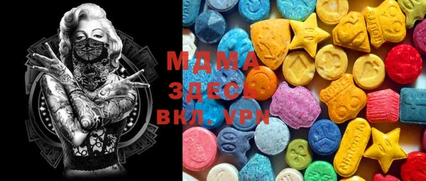 индика Медвежьегорск