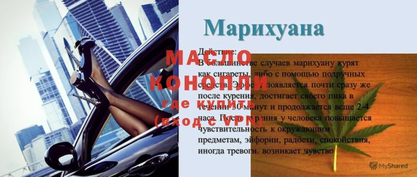 индика Медвежьегорск