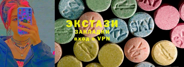 индика Медвежьегорск