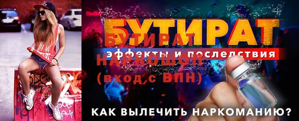 индика Медвежьегорск