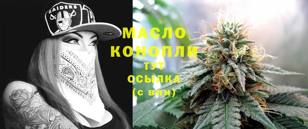 индика Медвежьегорск