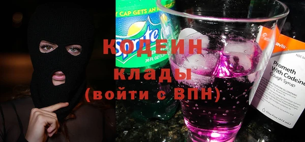 индика Медвежьегорск