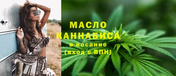 индика Медвежьегорск