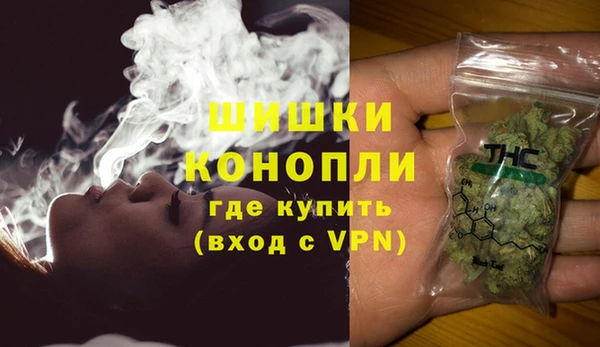 индика Медвежьегорск