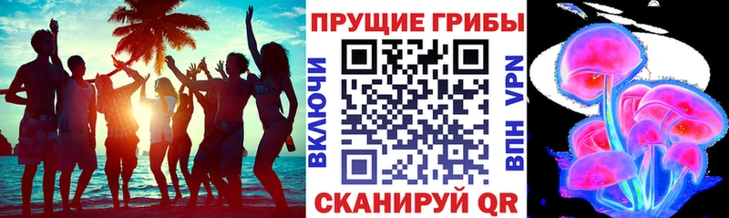 Галлюциногенные грибы Psilocybine cubensis  Купить закладки  Мончегорск 