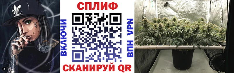 Бошки Шишки Bruce Banner Мончегорск